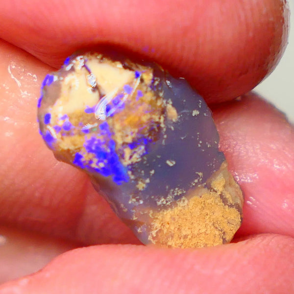 Lightning Ridge knobby opal formation rub/rough 3.00cts Displaying Bright Gorgeous blue fires 17x10x3mm LotB4-A201