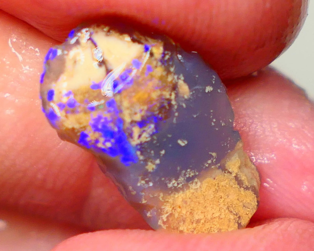 Lightning Ridge knobby opal formation rub/rough 3.00cts Displaying Bright Gorgeous blue fires 17x10x3mm LotB4-A201