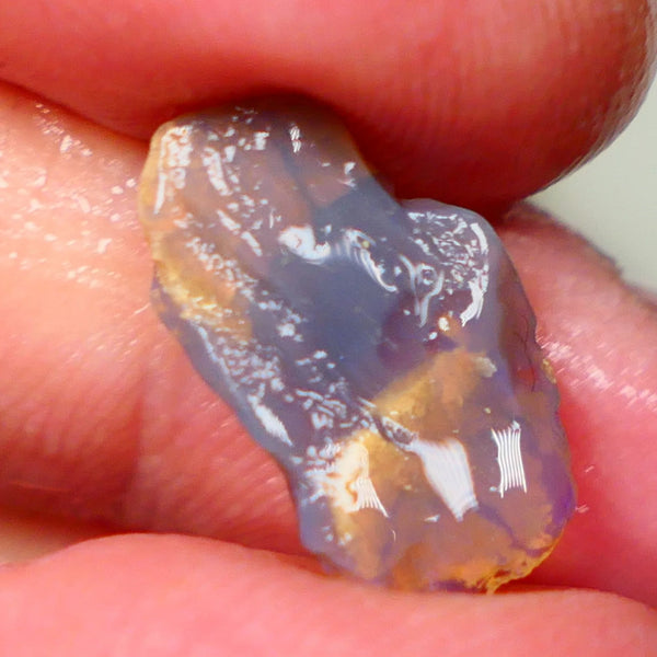 Lightning Ridge knobby opal formation rub/rough 3.00cts Displaying Bright Gorgeous blue fires 17x10x3mm LotB4-A201