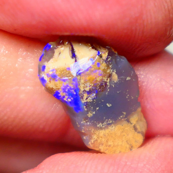 Lightning Ridge knobby opal formation rub/rough 3.00cts Displaying Bright Gorgeous blue fires 17x10x3mm LotB4-A201