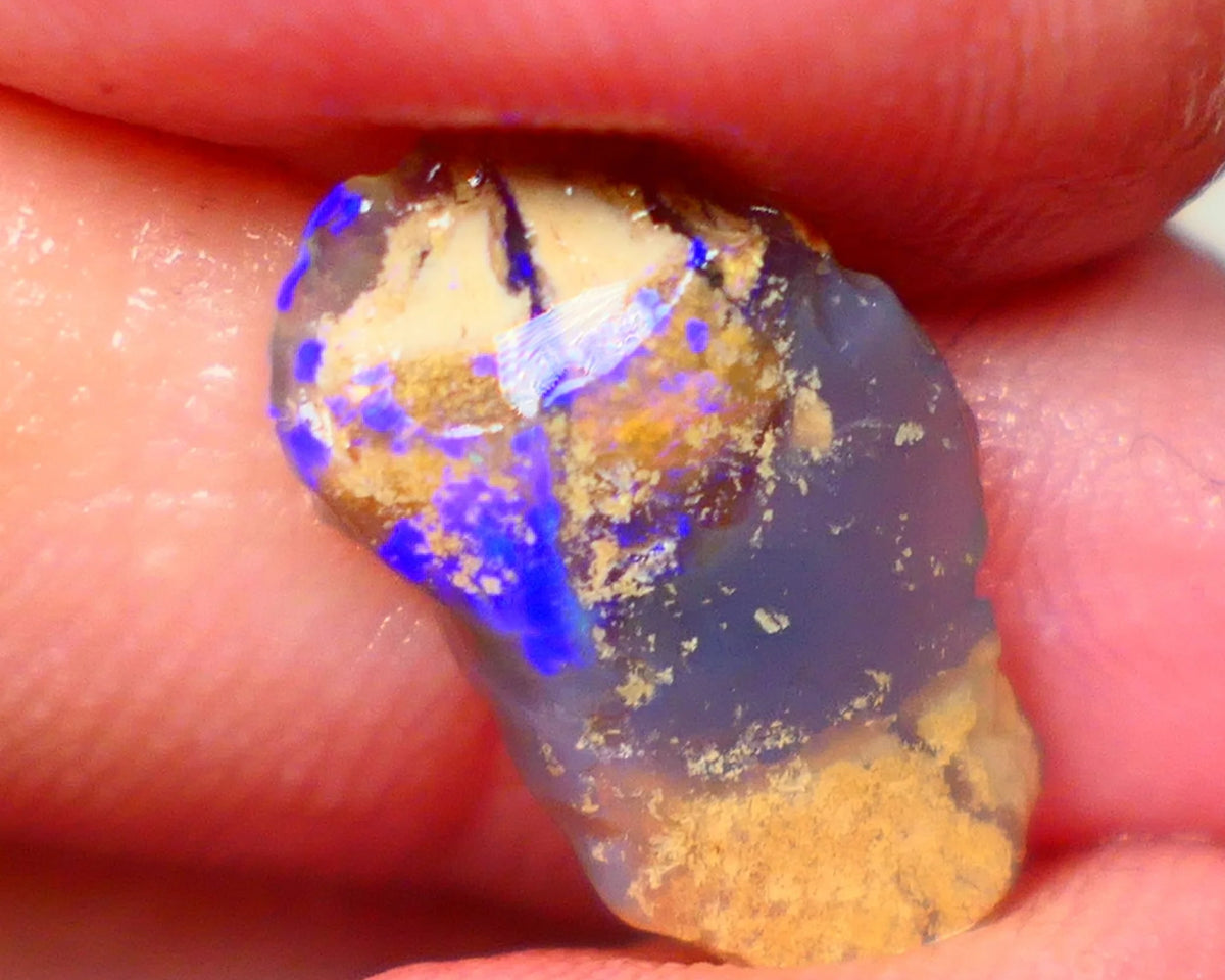 Lightning Ridge knobby opal formation rub/rough 3.00cts Displaying Bright Gorgeous blue fires 17x10x3mm LotB4-A201