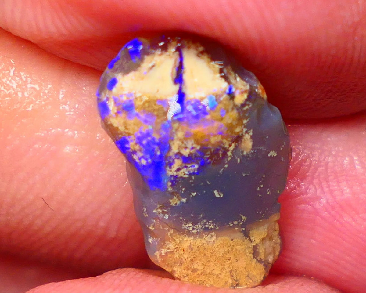 Lightning Ridge knobby opal formation rub/rough 3.00cts Displaying Bright Gorgeous blue fires 17x10x3mm LotB4-A201