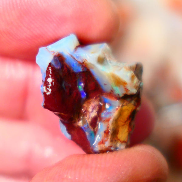 Coober Pedy Seam opal formation rough 18.50cts Lots of blue fires showing to gamble 24x16x10mm  Lot B4-A103