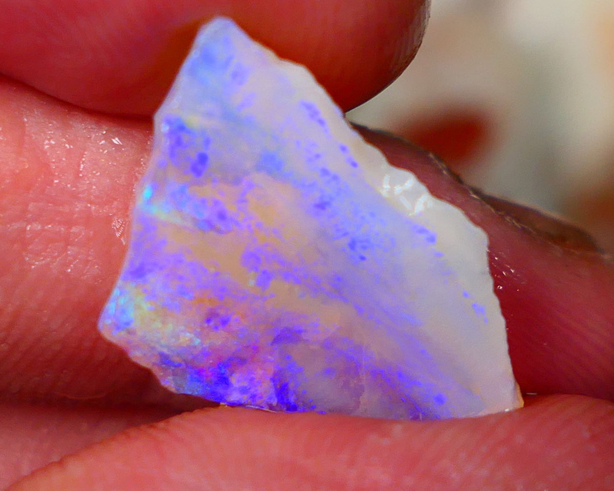 Coober Pedy Seam opal rough 7.50cts lots of exposed Blue fires to go at 22x14x5mm  Lot B4-A053