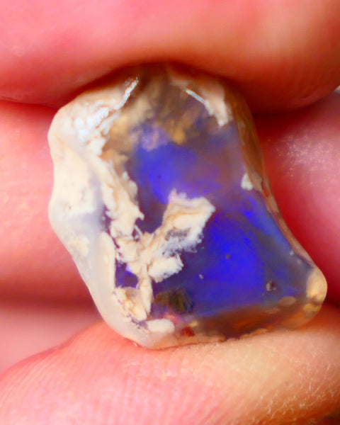 Broad zone of Royal Blues 8.75cts Rub Rough Lightning Ridge Knobby opal 18x12x7mm  Lot B4-A076