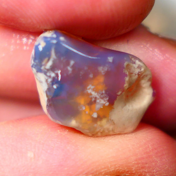 Broad zone of Royal Blues 8.75cts Rub Rough Lightning Ridge Knobby opal 18x12x7mm  Lot B4-A076