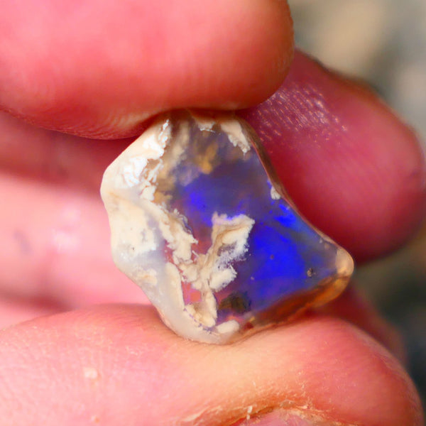 Broad zone of Royal Blues 8.75cts Rub Rough Lightning Ridge Knobby opal 18x12x7mm  Lot B4-A076