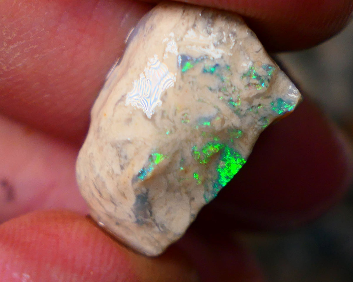 Lightning Ridge Knobby formation rub rough 13.50cts Zone of Bright Electric Greens 21x11x9mm  Lot B4-A075