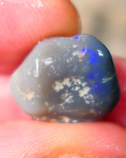 Gorgeous Royal Blue bar on this Dark Base knobby rough 9.00cts Lightning Ridge Material to Gamble 15x14x8mm B4-A072