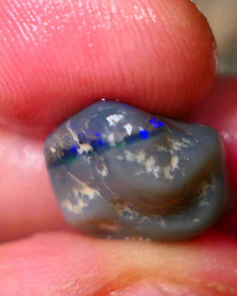Gorgeous Royal Blue bar on this Dark Base knobby rough 9.00cts Lightning Ridge Material to Gamble 15x14x8mm B4-A072