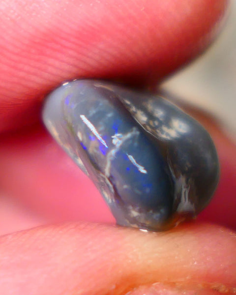 Gorgeous Royal Blue bar on this Dark Base knobby rough 9.00cts Lightning Ridge Material to Gamble 15x14x8mm B4-A072