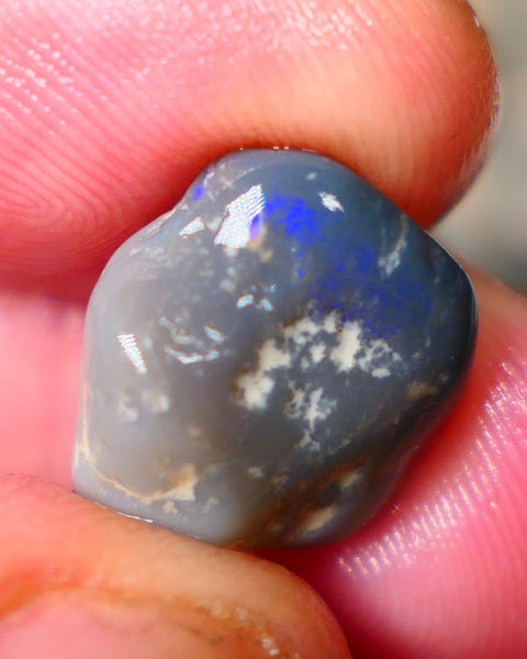 Gorgeous Royal Blue bar on this Dark Base knobby rough 9.00cts Lightning Ridge Material to Gamble 15x14x8mm B4-A072