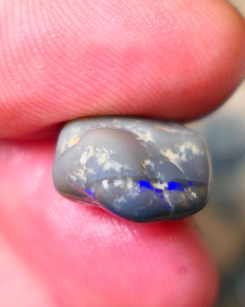 Gorgeous Royal Blue bar on this Dark Base knobby rough 9.00cts Lightning Ridge Material to Gamble 15x14x8mm B4-A072