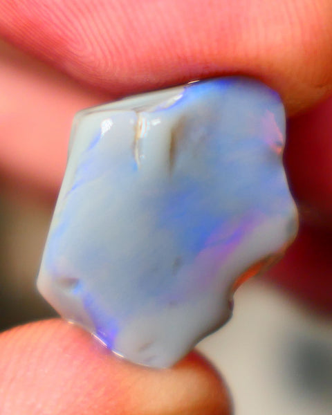 Dark Base Seam Rough 9.75cts Lightning Ridge showing nice blues 19x15x6mm  Lot B4-A070