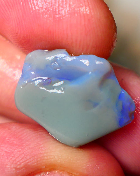 Dark Base Seam Rough 9.75cts Lightning Ridge showing nice blues 19x15x6mm  Lot B4-A070