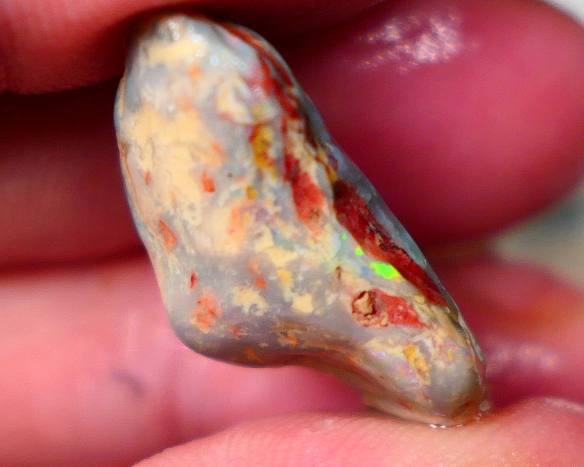 Lightning Ridge Dark Base Knobby 21.00cts Zone of Bright Multifires 26x15x10mm To Gamble  Lot B4-A068