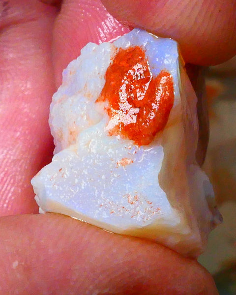 Coober Pedy Dark Milky Seam opal rough 19.5cts Lots of colour to explore sold as gamble 21x17x12mm  Lot B4-A091