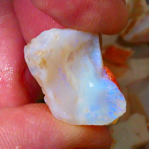 Coober Pedy Dark Milky Seam opal rough 19.5cts Lots of colour to explore sold as gamble 21x17x12mm  Lot B4-A091