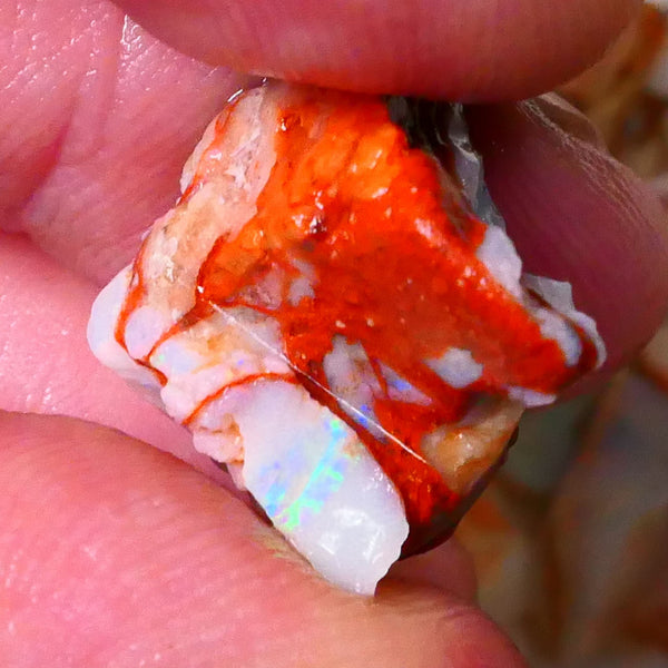 Stunning Coober Pedy Seam opal Formation 17.00cts Gorgeous Display of bright Multicolours 17x16x12mm Lot B4-A088