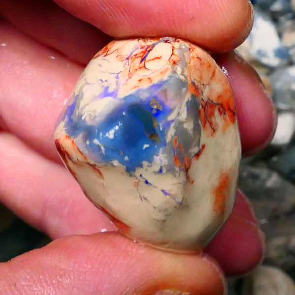 Lightning Ridge knobby opal formation rough 78.00cts Blue colours to Gamble 29x25x23mm  Lot B4-A123