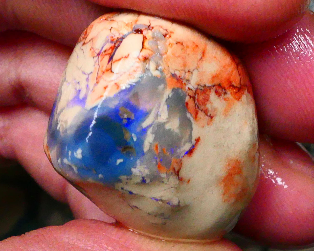 Lightning Ridge knobby opal formation rough 78.00cts Blue colours to Gamble 29x25x23mm  Lot B4-A123