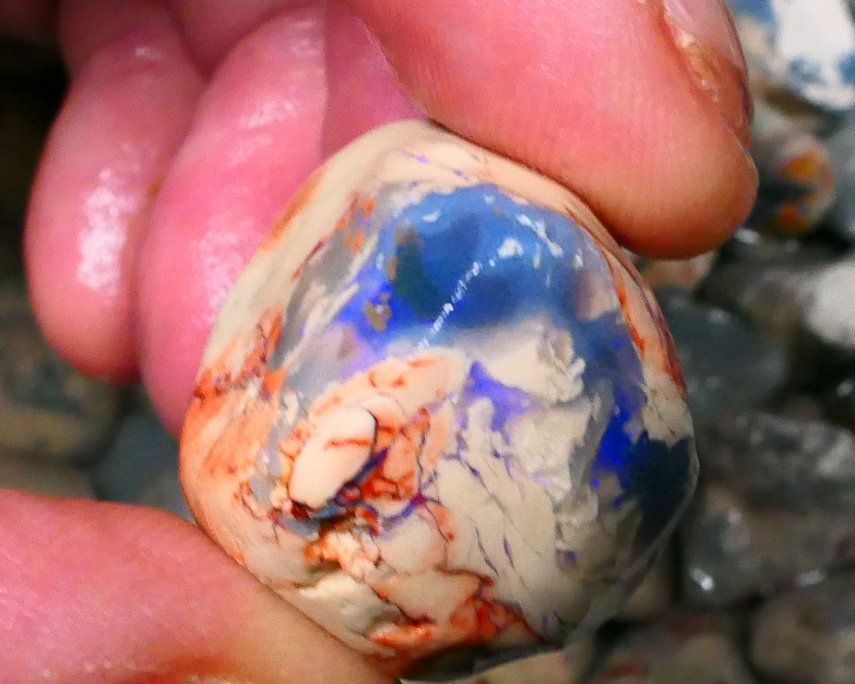 Lightning Ridge knobby opal formation rough 78.00cts Blue colours to Gamble 29x25x23mm  Lot B4-A123