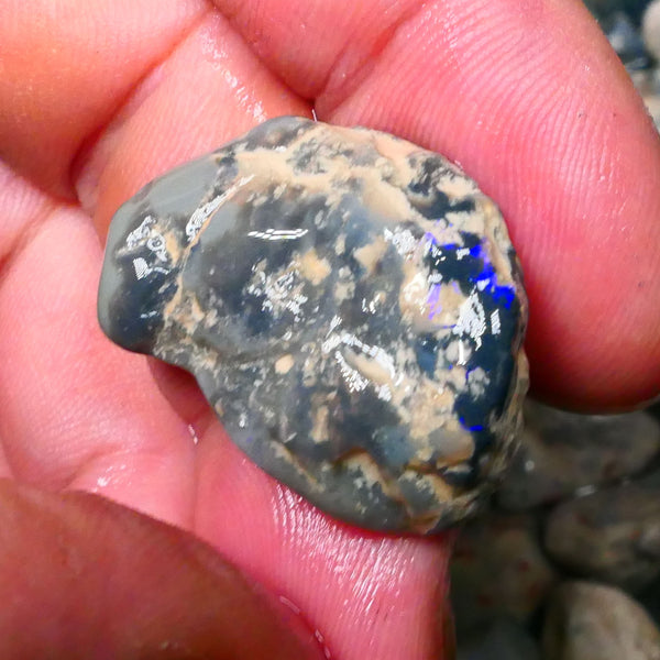 Lightning Ridge Black Centered Knobby opal rough 28.00ctsSome Bright Blues to Gamble 28x20x9mm  Lot B4-A124