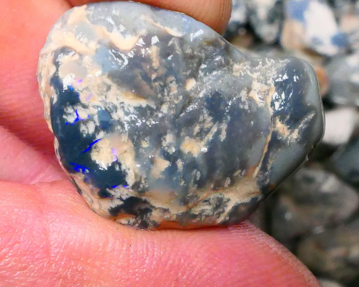 Lightning Ridge Black Centered Knobby opal rough 28.00ctsSome Bright Blues to Gamble 28x20x9mm  Lot B4-A124