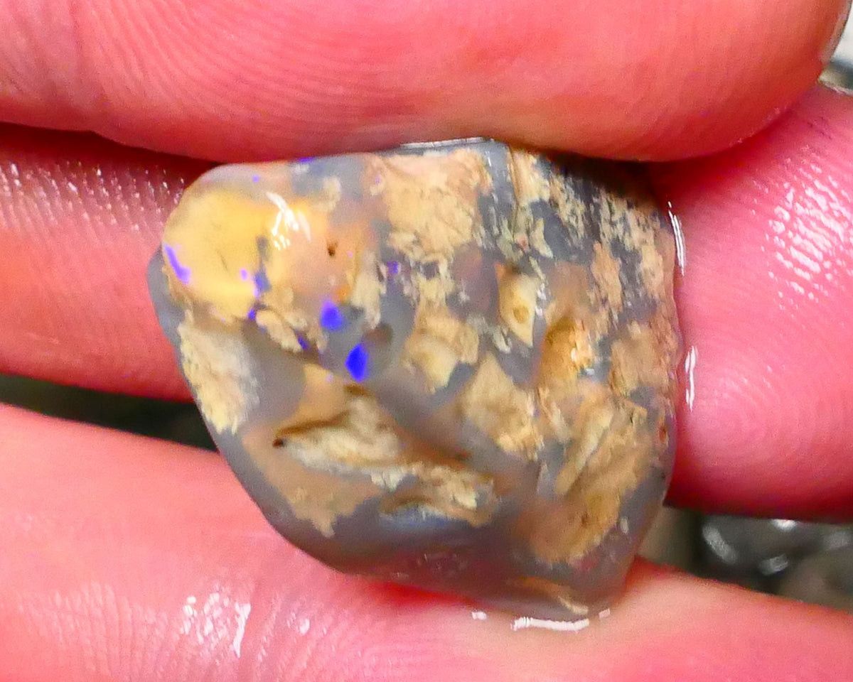 Lightning Ridge Dark base Seam opal 19.50cts Bit of Blue colours to explore 23x18x10mm  Lot B4-A128