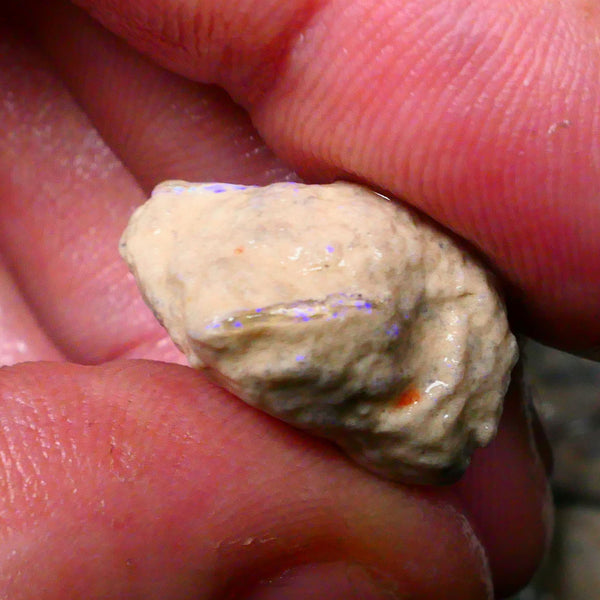 Lightning Ridge Knobby opal formation rough 17.75cts Yellow & Blues fires to gamble 20x16x11mm  Lot B4-A129