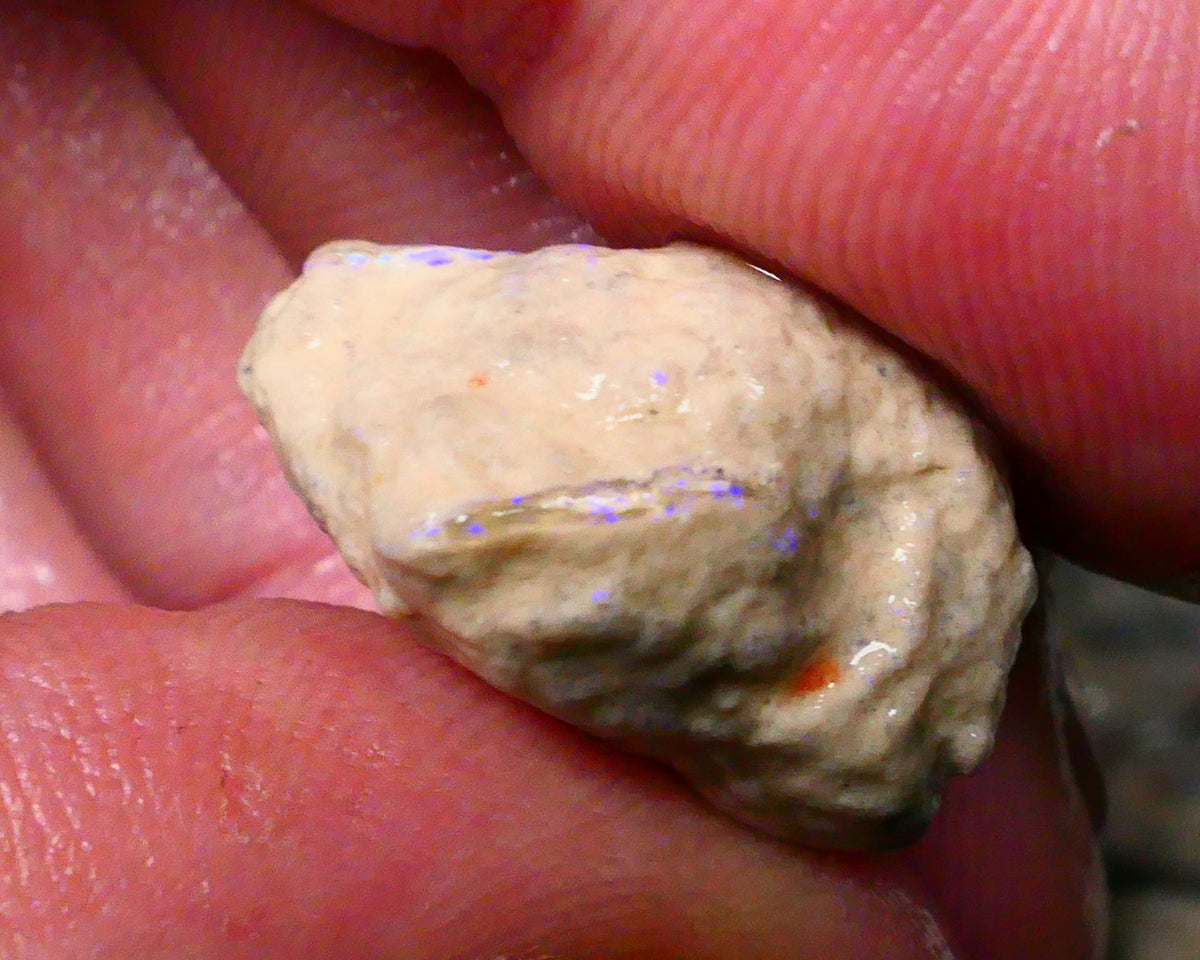 Lightning Ridge Knobby opal formation rough 17.75cts Yellow & Blues fires to gamble 20x16x11mm  Lot B4-A129