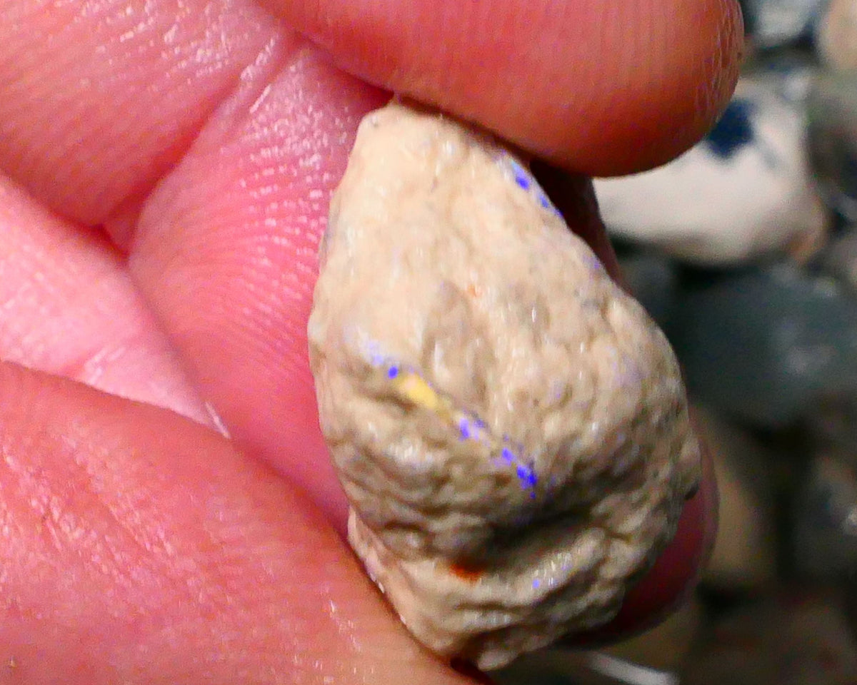 Lightning Ridge Knobby opal formation rough 17.75cts Yellow & Blues fires to gamble 20x16x11mm  Lot B4-A129