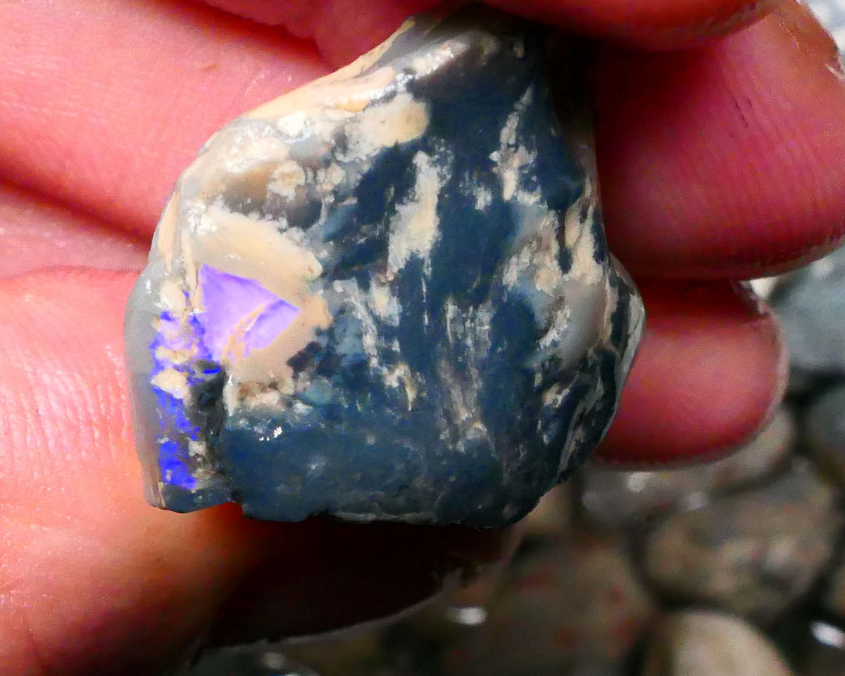 Big Black/Dark Knobby of Lightning Ridge 34.50cts some blue colours showing 26x22x16mm  Lot B4-A130