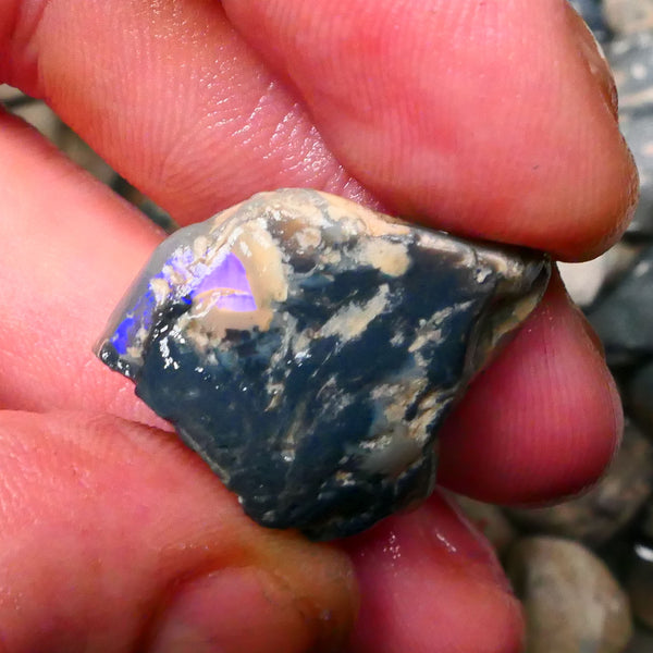 Big Black/Dark Knobby of Lightning Ridge 34.50cts some blue colours showing 26x22x16mm  Lot B4-A130