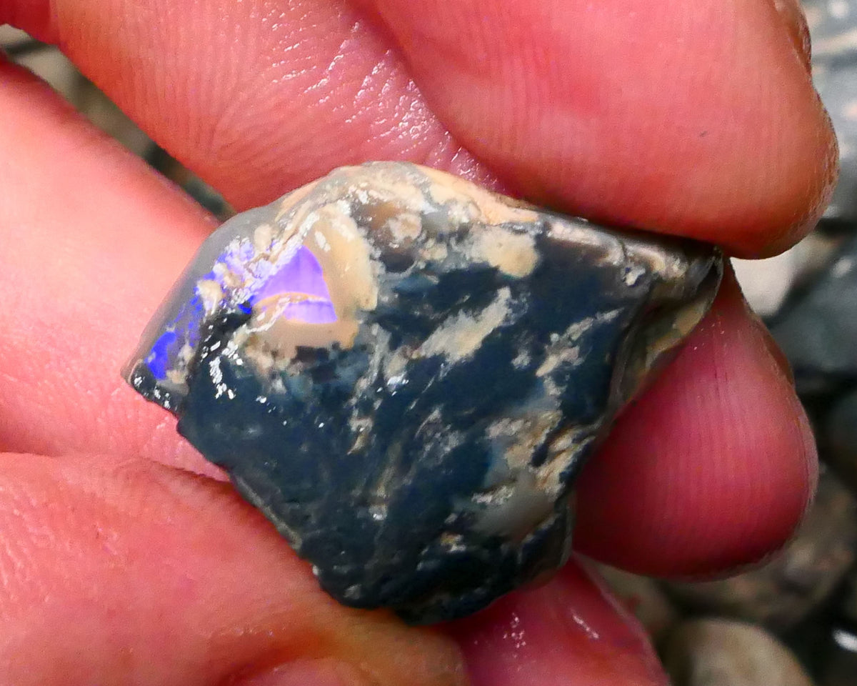 Big Black/Dark Knobby of Lightning Ridge 34.50cts some blue colours showing 26x22x16mm  Lot B4-A130