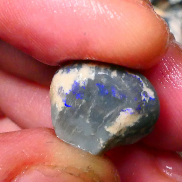 Lightning Ridge Dark Base knobby opal rough 15.00cts Bright Blue bar / band of colour 15x14x12mm Lot B4-A131