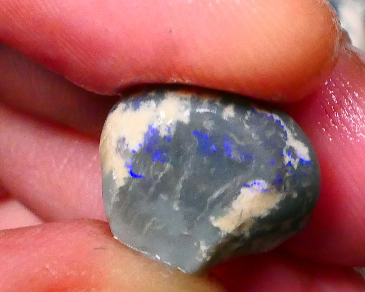 Lightning Ridge Dark Base knobby opal rough 15.00cts Bright Blue bar / band of colour 15x14x12mm Lot B4-A131