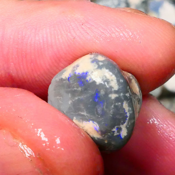 Lightning Ridge Dark Base knobby opal rough 15.00cts Bright Blue bar / band of colour 15x14x12mm Lot B4-A131