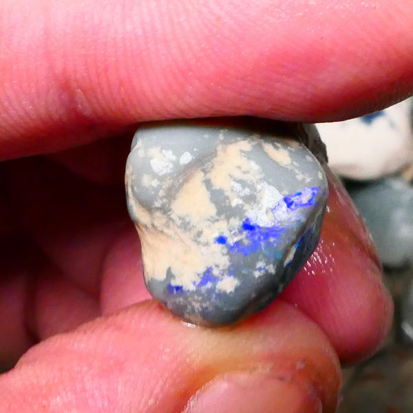 Lightning Ridge Dark Base knobby opal rough 15.00cts Bright Blue bar / band of colour 15x14x12mm Lot B4-A131