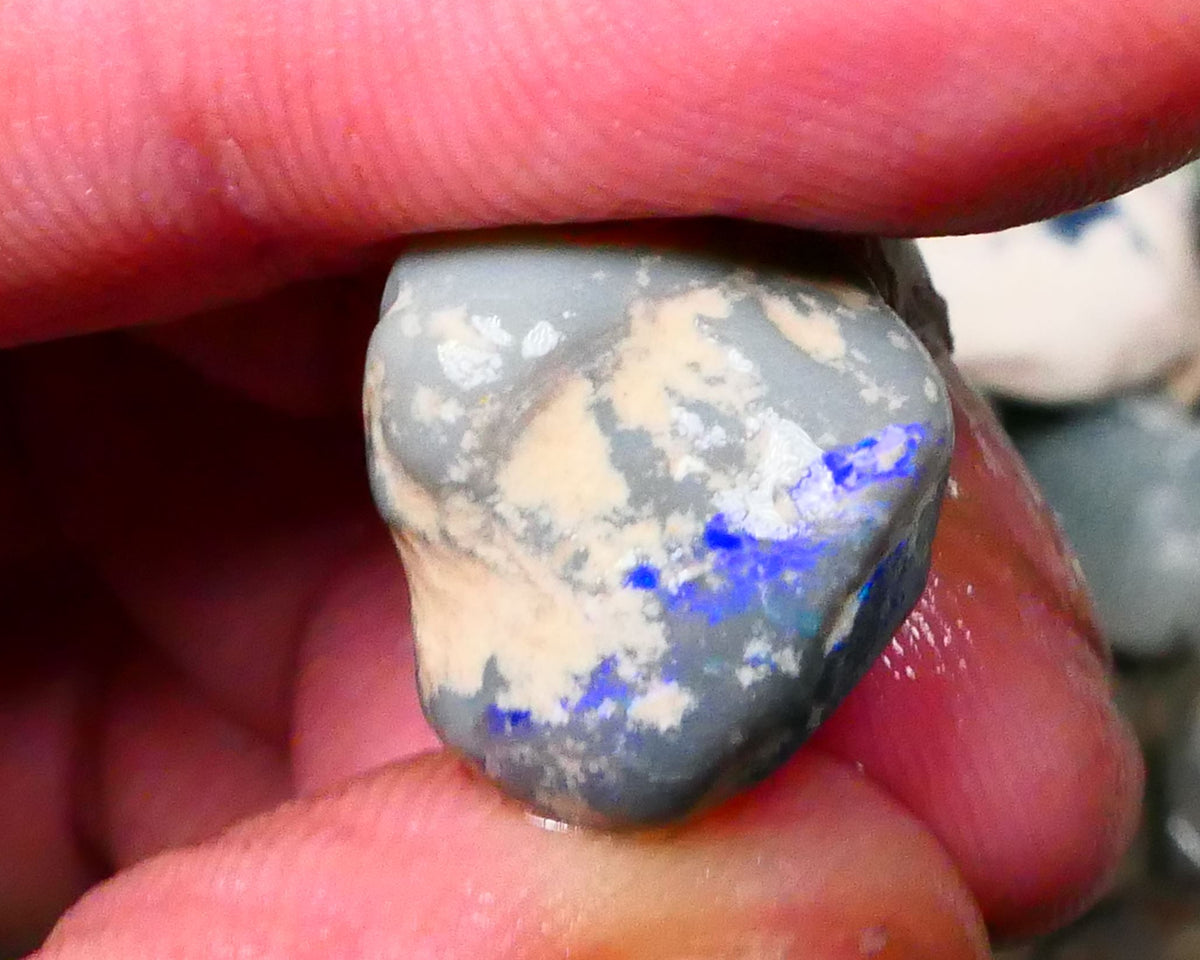 Lightning Ridge Dark Base knobby opal rough 15.00cts Bright Blue bar / band of colour 15x14x12mm Lot B4-A131