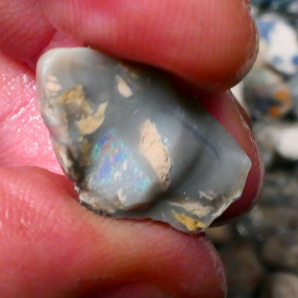 Lightning Ridge knobby opal split rough half 14.50cts Some colour to explore 22x12x12mm Lot B4-A132