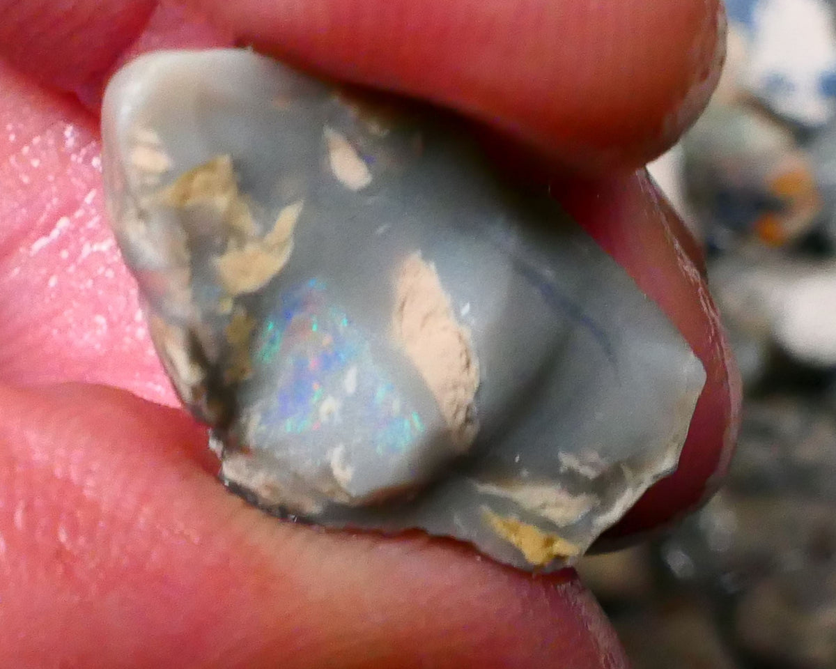 Lightning Ridge knobby opal split rough half 14.50cts Some colour to explore 22x12x12mm Lot B4-A132