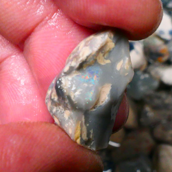 Lightning Ridge knobby opal split rough half 14.50cts Some colour to explore 22x12x12mm Lot B4-A132