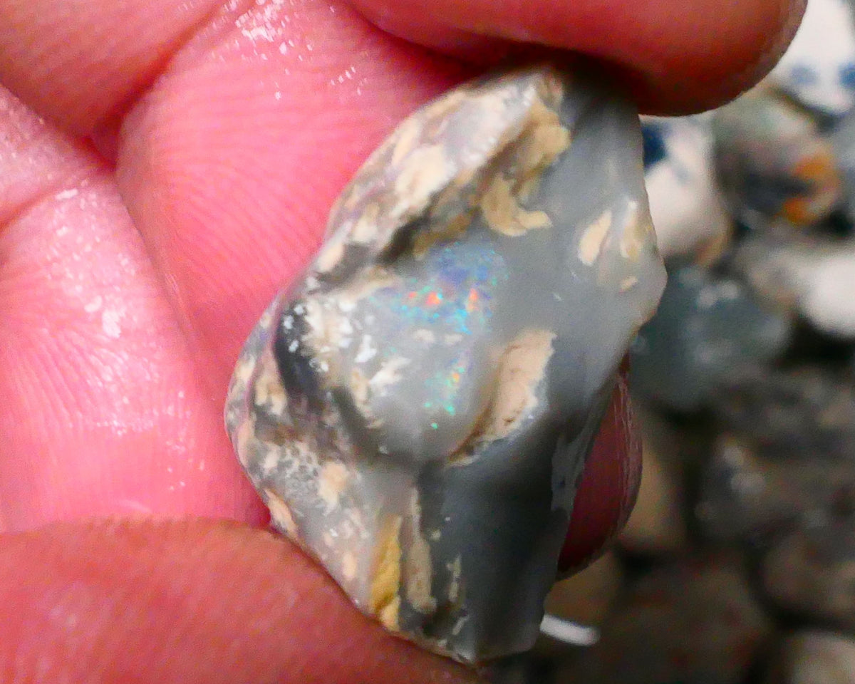 Lightning Ridge knobby opal split rough half 14.50cts Some colour to explore 22x12x12mm Lot B4-A132