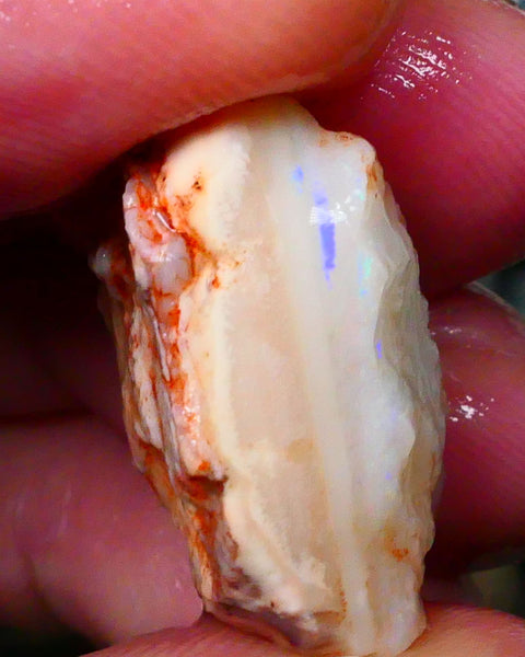 Coober Pedy White Base Seam opal rough 24.00cts Thin Bright Blue bar to chase & explore 22x16x13mm  Lot B4-A410