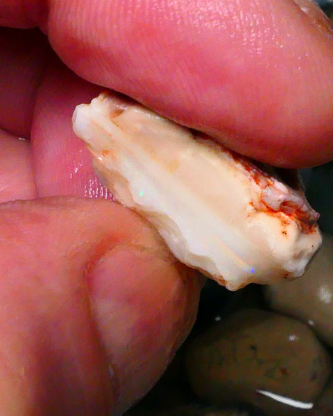 Coober Pedy White Base Seam opal rough 24.00cts Thin Bright Blue bar to chase & explore 22x16x13mm  Lot B4-A410