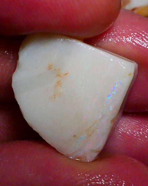 Grey base Opal rough rub Coober Pedy 17.50cts Band of Green Blue fires to gamble 20x18x7mm  Lot B4-A413
