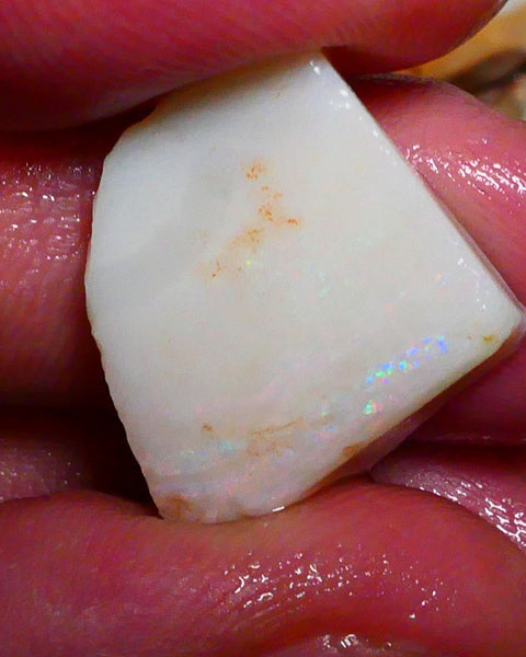 Grey base Opal rough rub Coober Pedy 17.50cts Band of Green Blue fires to gamble 20x18x7mm  Lot B4-A413