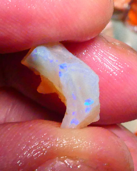 Blue/Green dominant M.fires to chase 7.50cts Coober Pedy Light base Crystal Gamble opal rough 17x11x8mm  Lot B4-A418