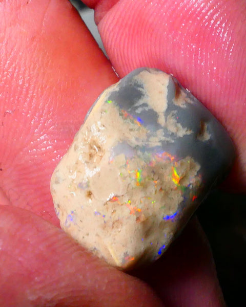 Orange/Red/Yellow Knobby Rough opal of Lightning Ridge 19.00cts Lots of Multicolours showing to Gamble 19x17x11mm Lot B4-A183